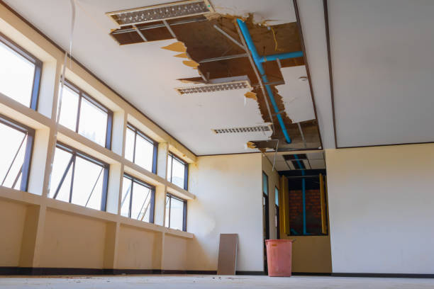 Best Residential water damage restoration  in Lowell, MI