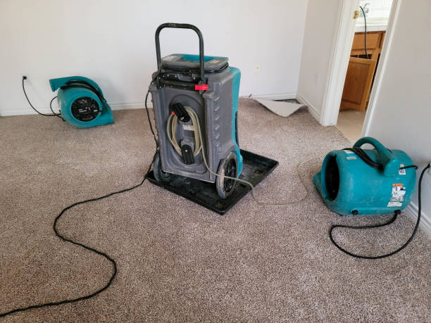 Local water damage restoration in Lowell, MI