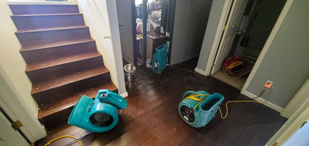 Reliable Lowell, MI Water damage restoration Solutions