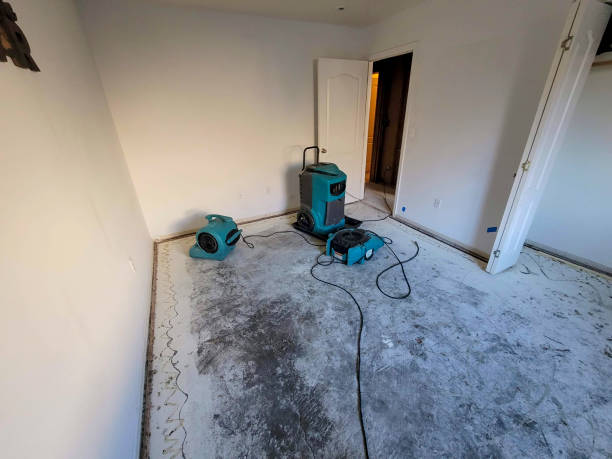 Best Commercial water damage restoration  in Lowell, MI