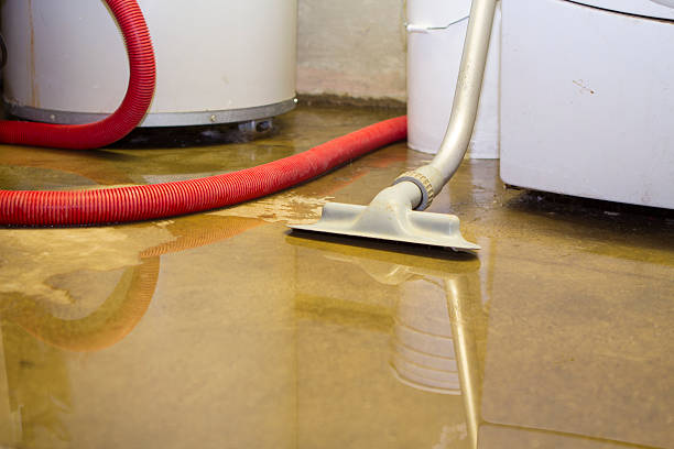 Best 24/7 water damage repair  in Lowell, MI