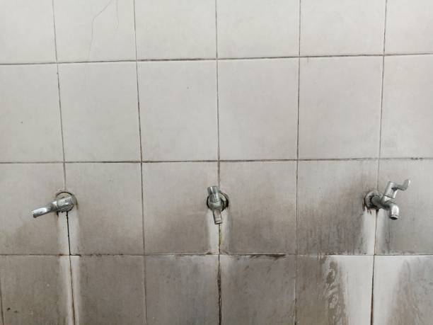 Best Sewage cleanup and water damage restoration  in Lowell, MI