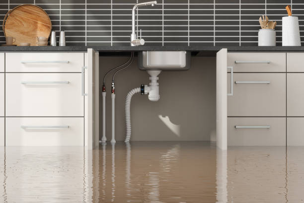 Best Ceiling water damage repair  in Lowell, MI