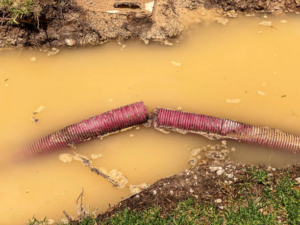 Best Flood restoration services  in Lowell, MI