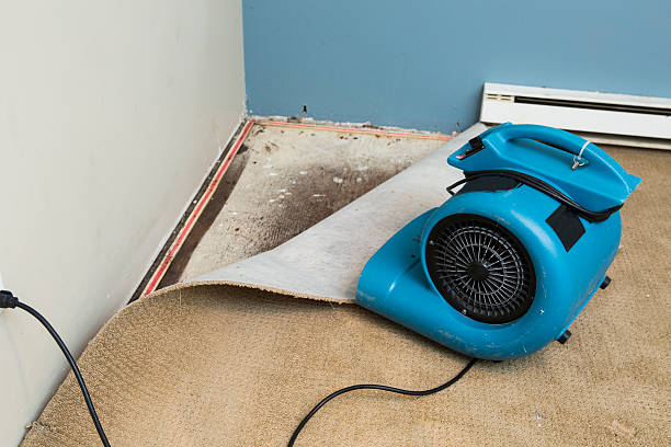 Best Professional water damage repair  in Lowell, MI